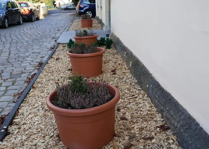 An Der Rennbahn Kostenloses Parken *